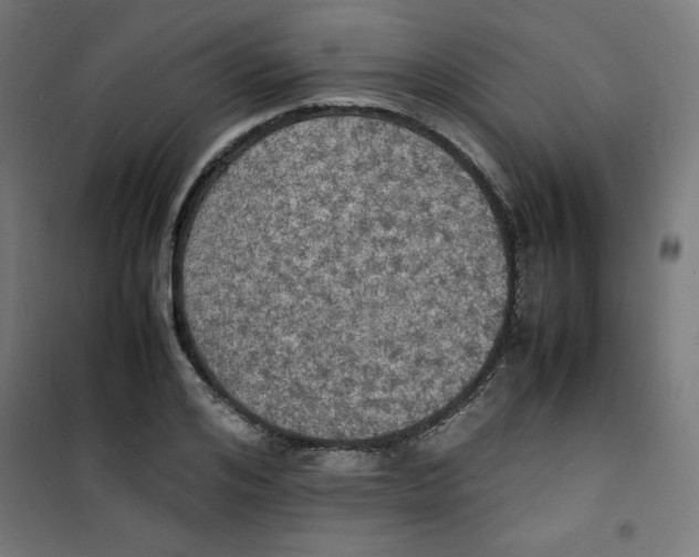 X0000100310984200807031142
