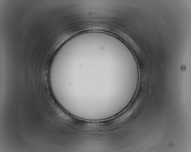 X0000100310985200807031142