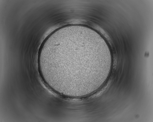 X0000100310986200807031142