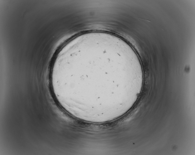 X0000100310987200807031142