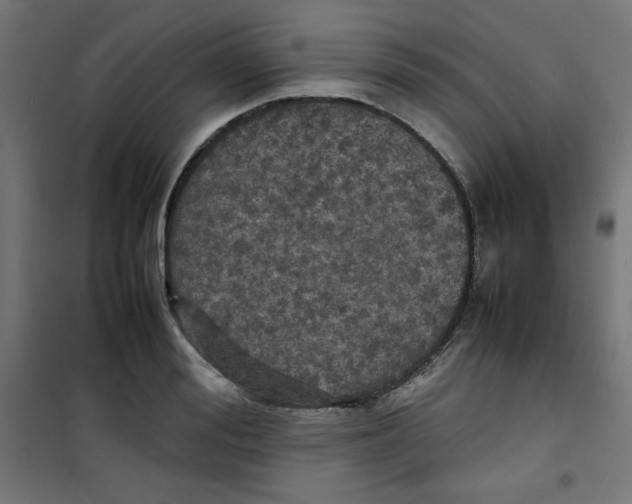 X0000100310988200807031142