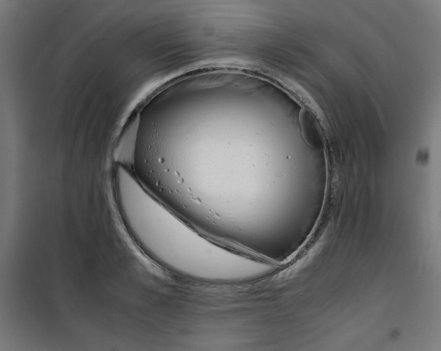 X0000100310989200807031142