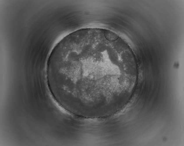 X0000100310990200807031142