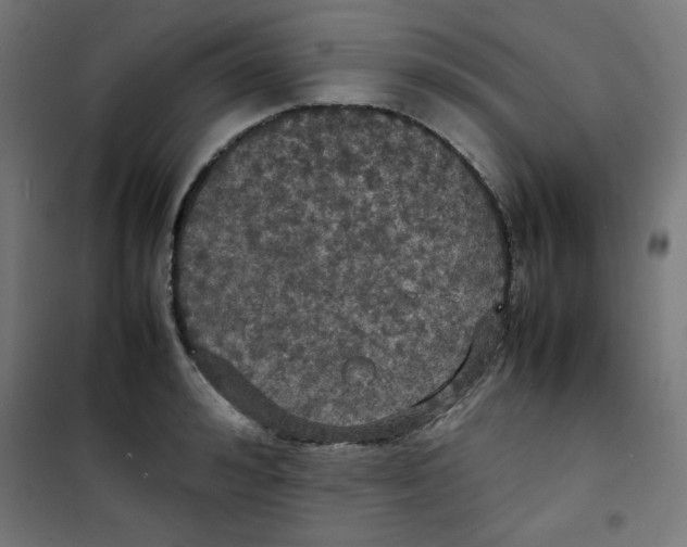 X0000100310992200807031142