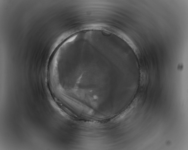 X0000100310994200807031142