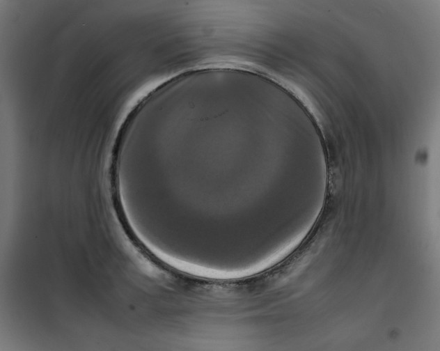 X0000100310995200807031142