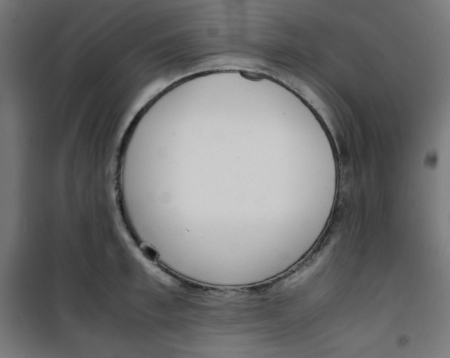 X0000100310997200807031142