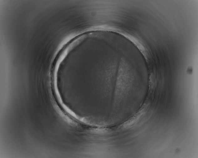 X0000100310998200807031142