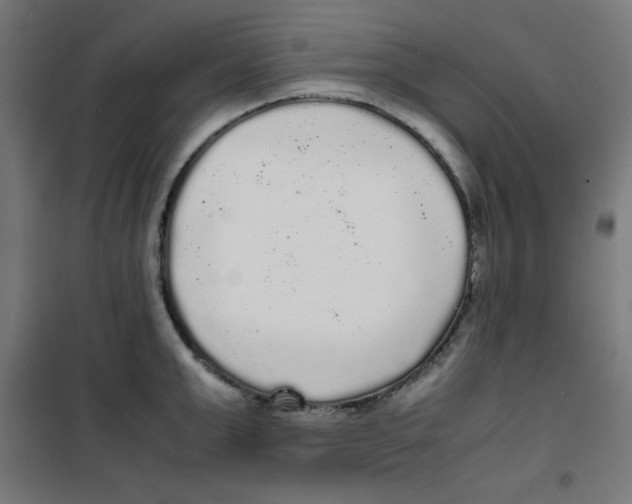 X0000100310999200807031142