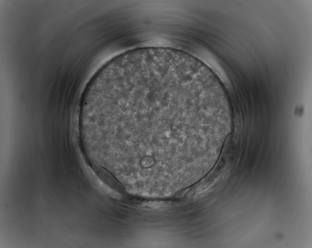 X0000100311000200807031142