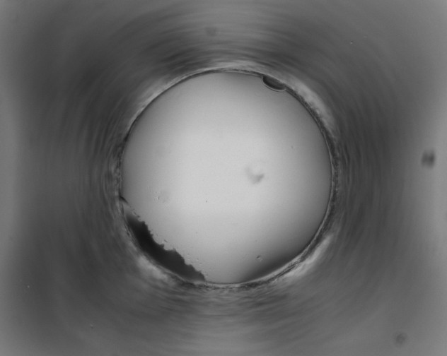 X0000100311001200807031142