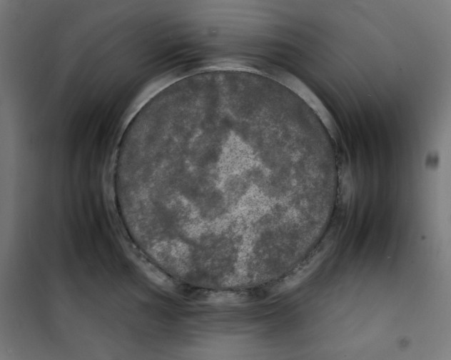 X0000100311002200807031142