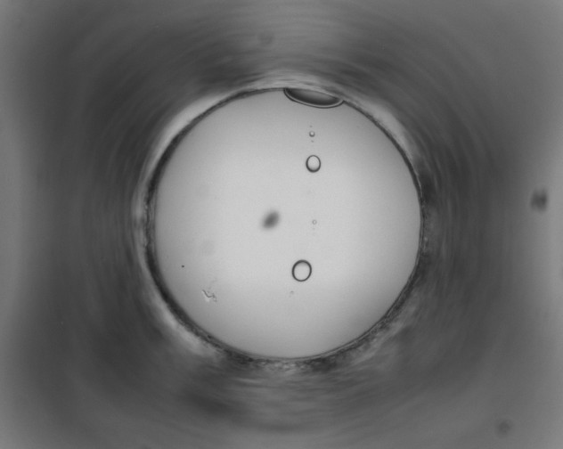 X0000100311003200807031142