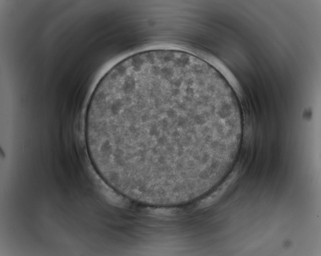 X0000100311004200807031142