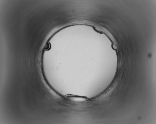 X0000100311005200807031142
