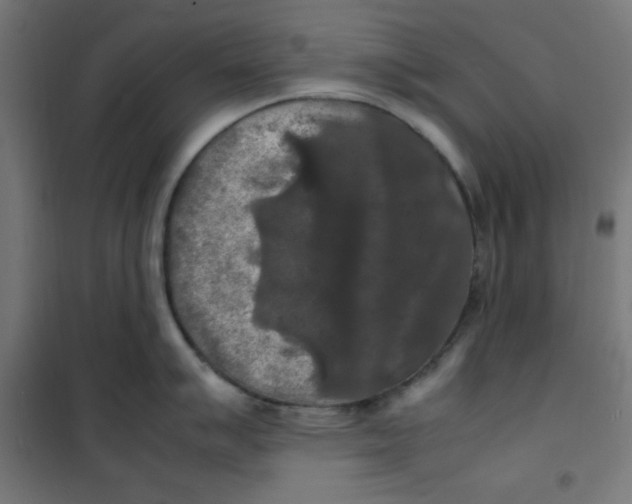 X0000100311007200807031142