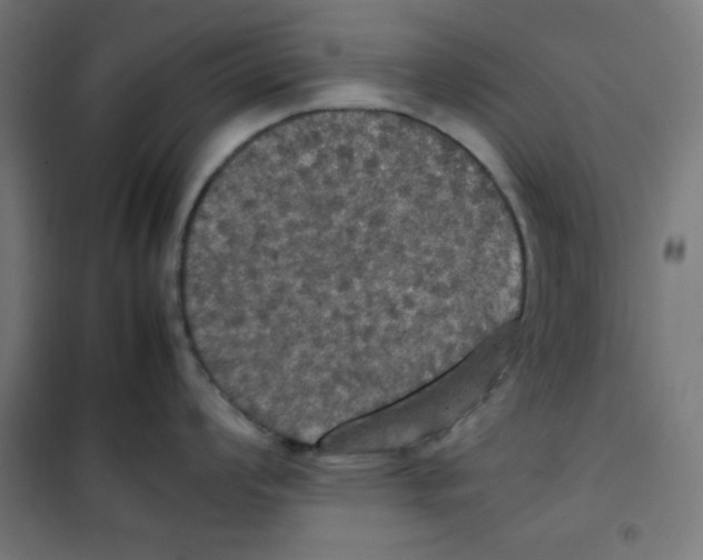 X0000100311008200807031142