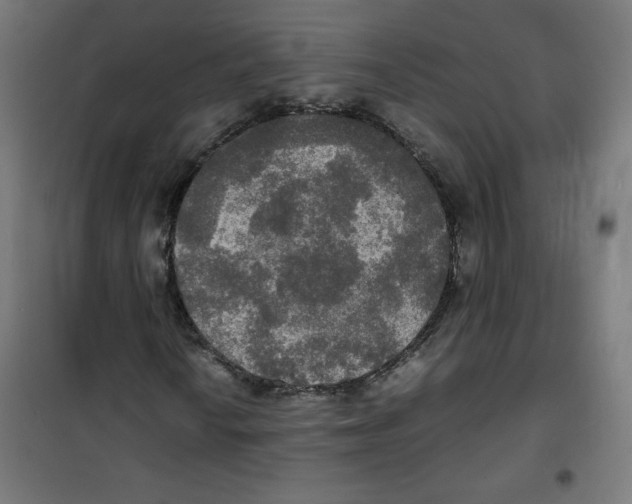 X0000100311010200807031141