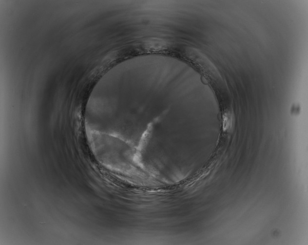 X0000100311011200807031141