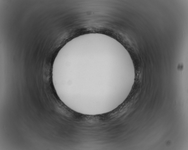X0000100311012200807031141