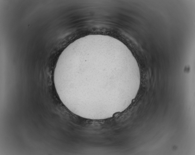 X0000100311013200807031141