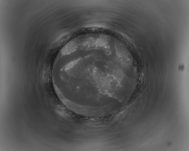 X0000100311014200807031141