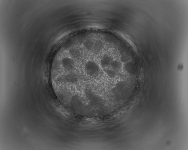 X0000100311015200807031141