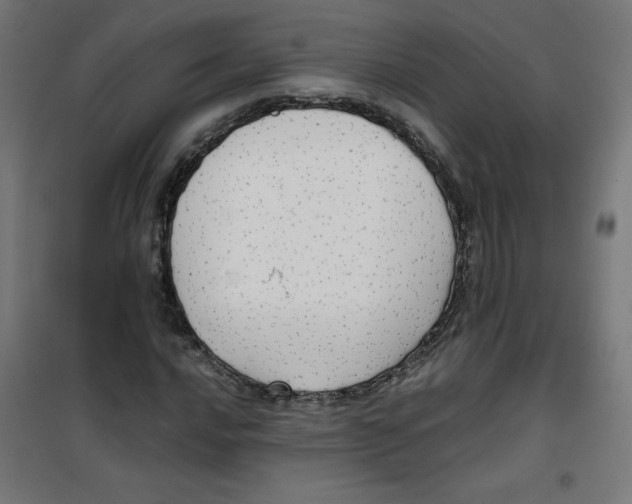 X0000100311016200807031141