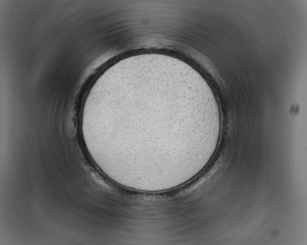 X0000100311018200807031141
