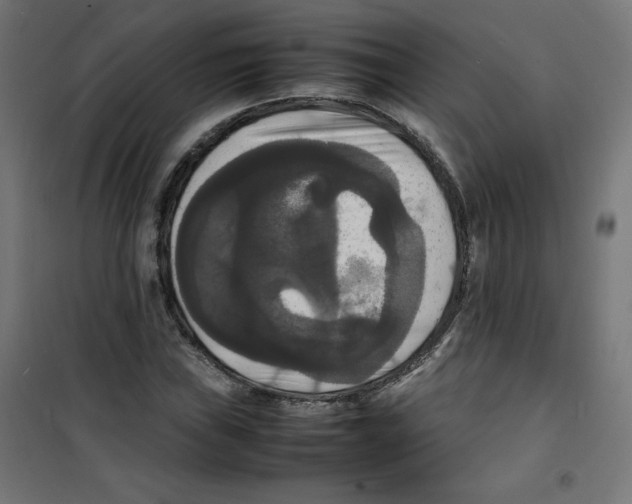 X0000100311019200807031141