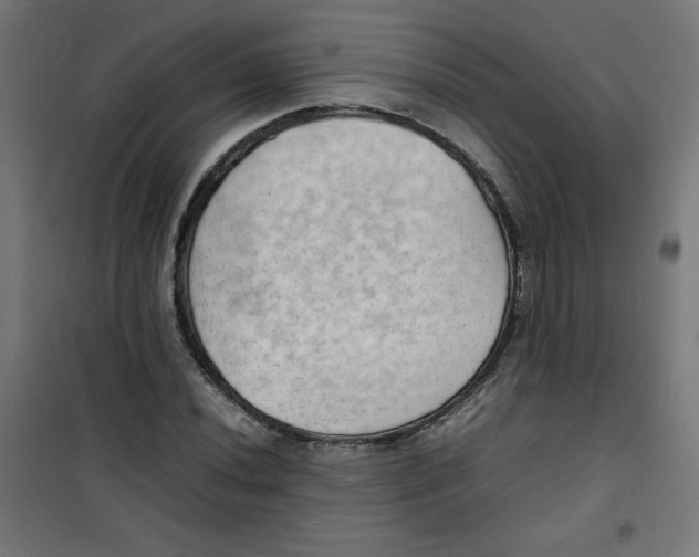 X0000100311020200807031141