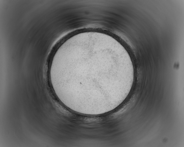 X0000100311021200807031141
