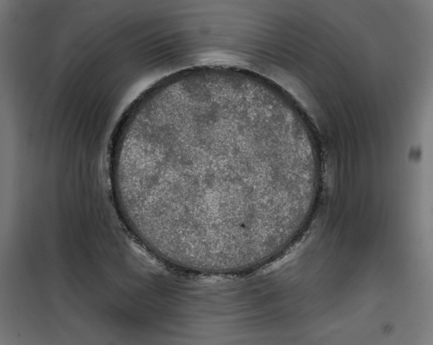 X0000100311022200807031141