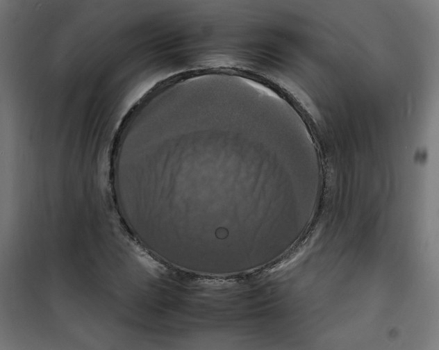 X0000100311023200807031141