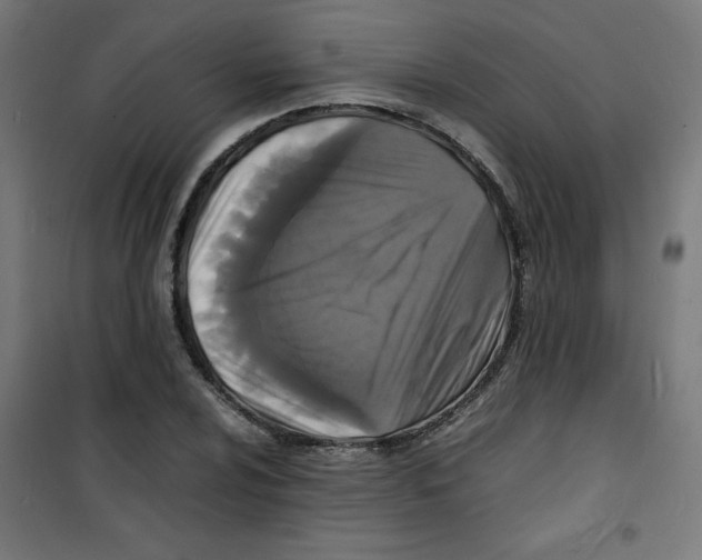 X0000100311024200807031141