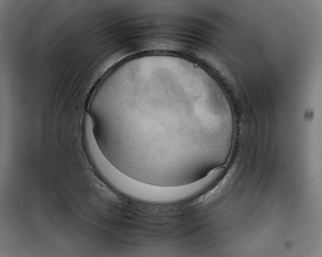 X0000100311025200807031141