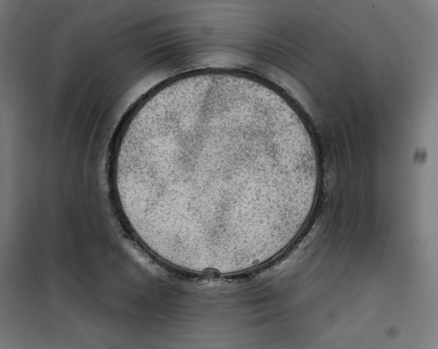 X0000100311026200807031141