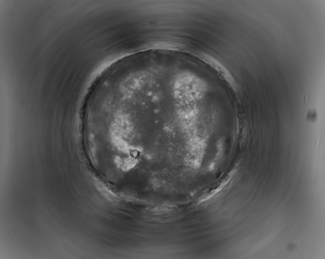 X0000100311027200807031141