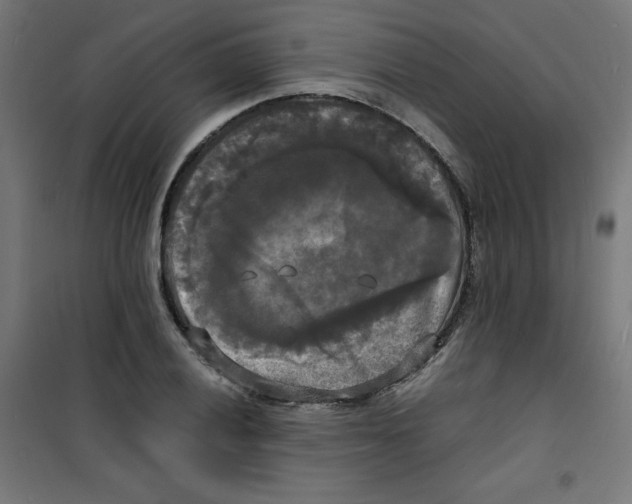 X0000100311028200807031141