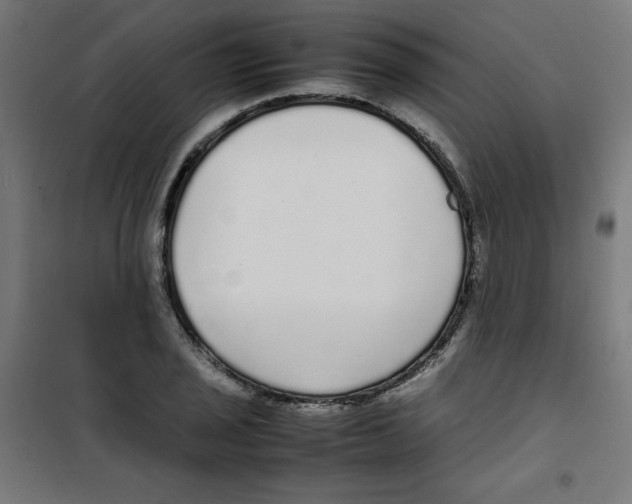 X0000100311029200807031141