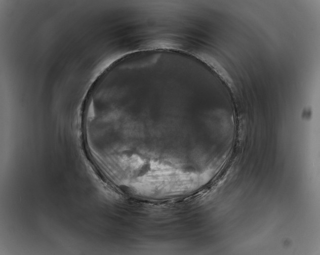 X0000100311031200807031141