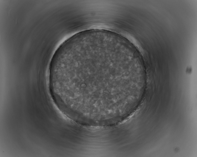 X0000100311032200807031141