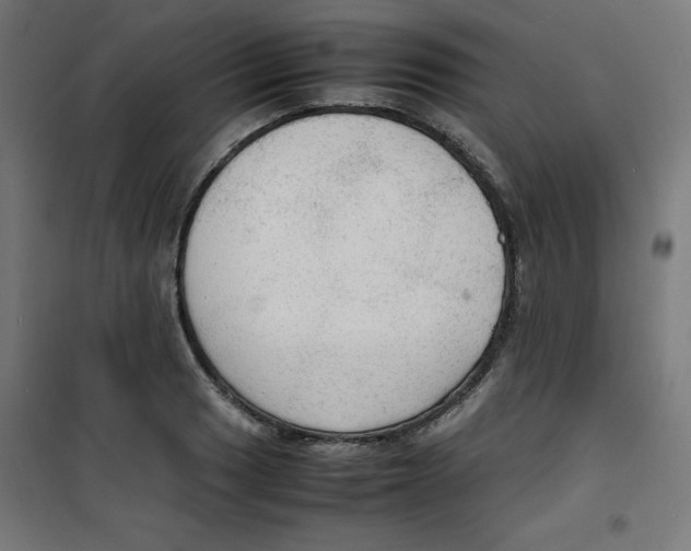 X0000100311033200807031141