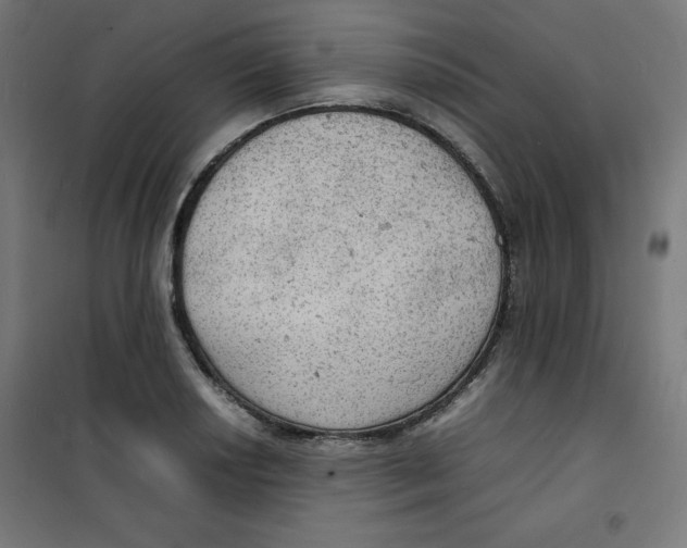 X0000100311034200807031141
