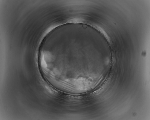 X0000100311035200807031141