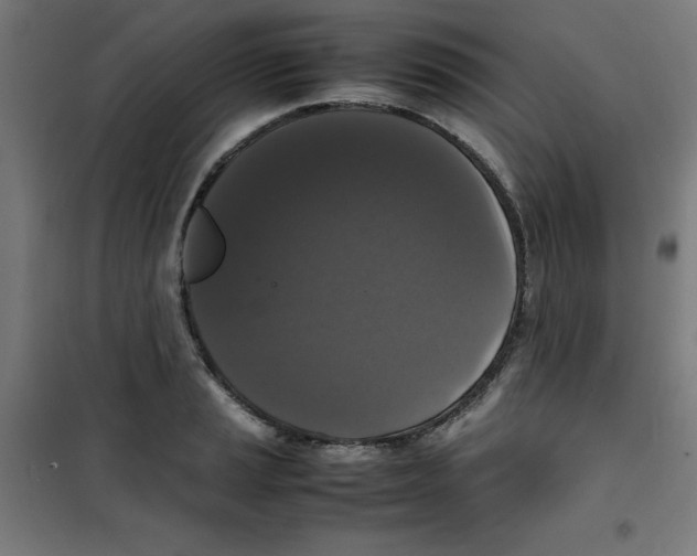 X0000100311037200807031141