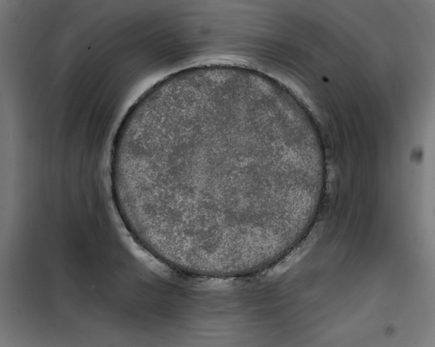 X0000100311038200807031142