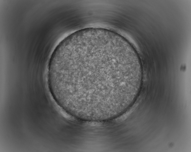 X0000100311040200807031142