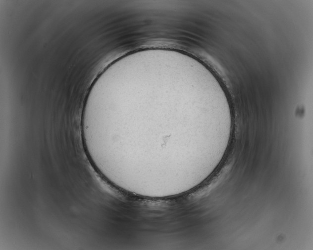 X0000100311041200807031142