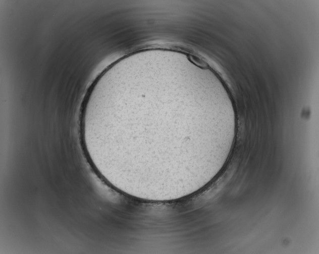 X0000100311042200807031142